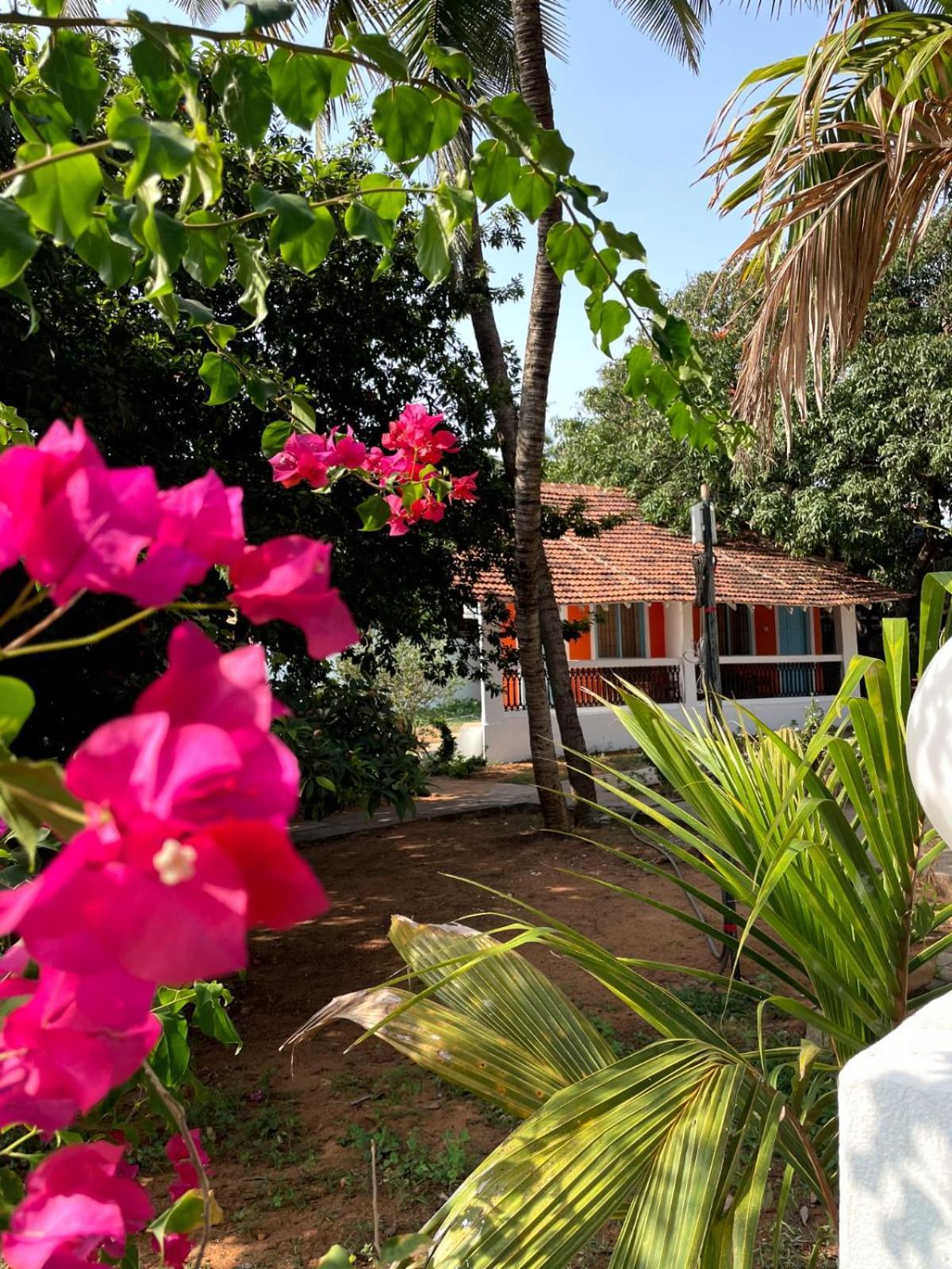 Papilio Beach Front Cottages-Tbv Baga Exterior photo